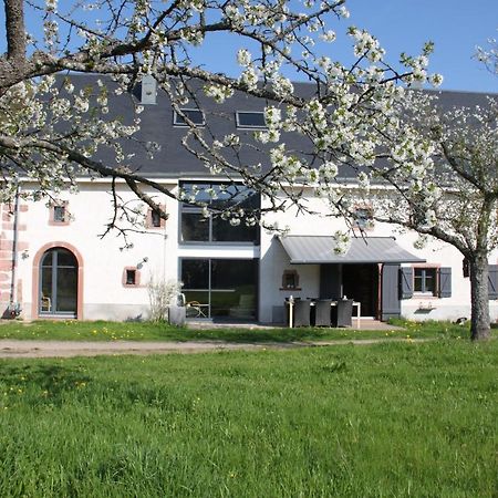 La Colline Du Baa Bed and Breakfast Lapoutroie Buitenkant foto