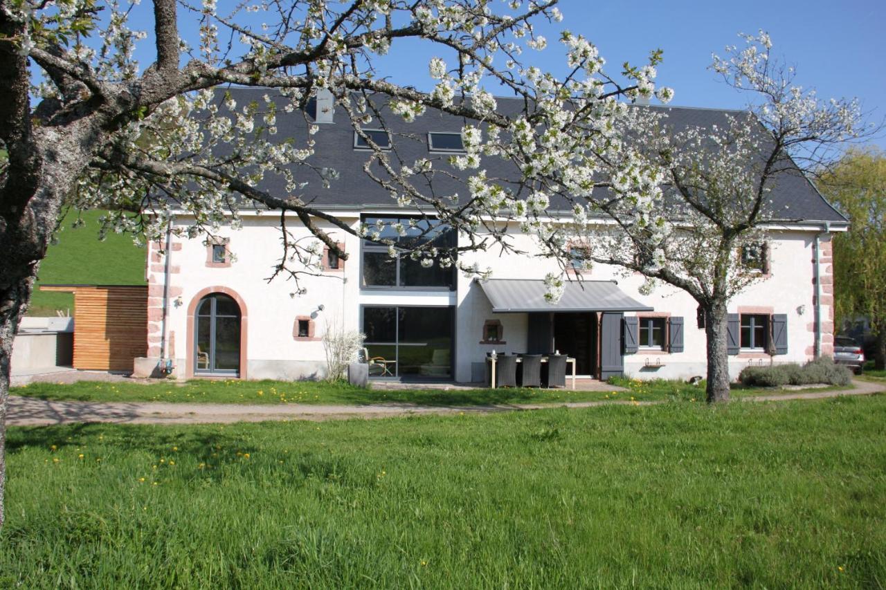 La Colline Du Baa Bed and Breakfast Lapoutroie Buitenkant foto