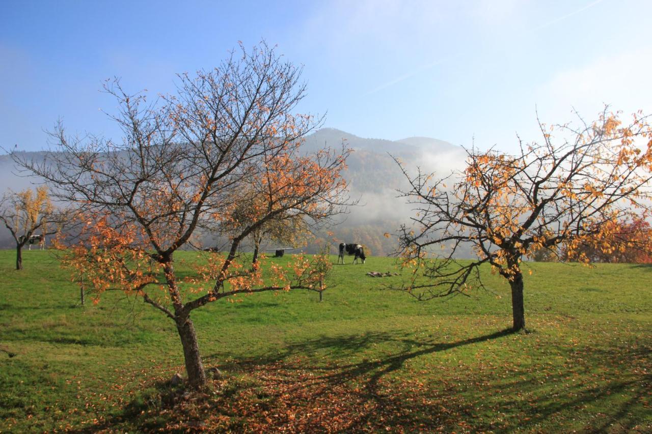 La Colline Du Baa Bed and Breakfast Lapoutroie Buitenkant foto