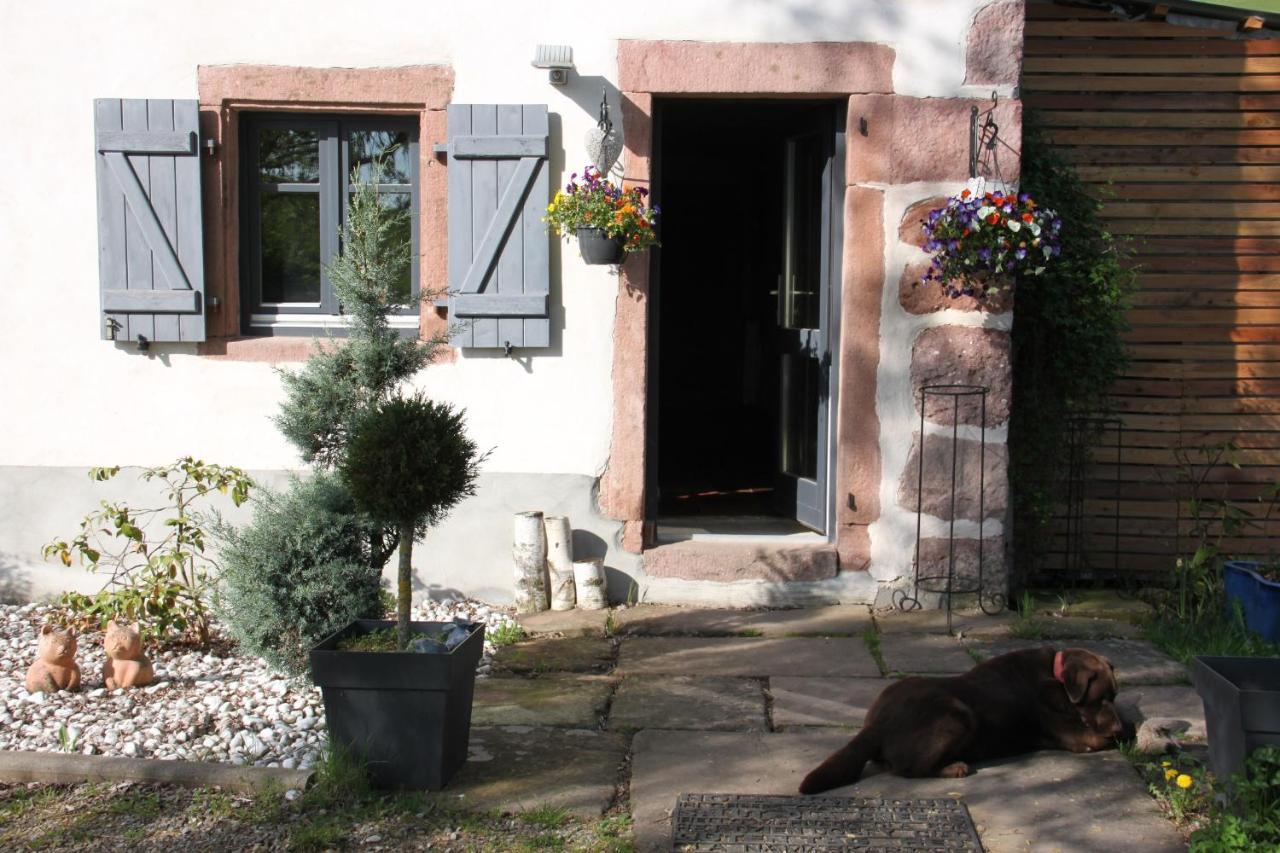La Colline Du Baa Bed and Breakfast Lapoutroie Buitenkant foto